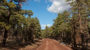 A modern rv camping and lodging experience, designed to enhance your village camp an exciting new rv & glamping experience is coming to flagstaff, az! Stoneman Lake Road Arizona Highways