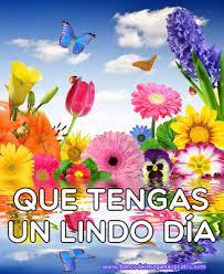 We did not find results for: Banco De Imagenes Mensaje De Feliz Dia Saludos De Buenos Dias Buenos Dias Saludos