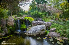 You can also count on us to get a beautiful fountain constructed. Inspiration From Our Lead Designer S Backyard Pond Aquascape Inc