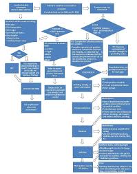 58 Ageless Pressure Injury Chart