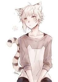 Imgur Com Anime Cat Boy Anime Neko Neko Boy