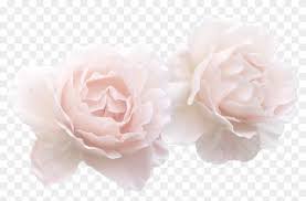 Pngtree has millions of free png, vectors and psd graphic resources for designers.| 4178655 73 Images About Flower Crown Or Other Things Transparent Pastel Pink Flowers Clipart 1120407 Pikpng