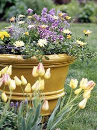 Cool Season Containers To Get An Early Start On Spring Container Flowers Flower Pots Garden Containers