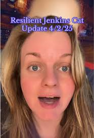 Milo Jenkins Cat Before and After