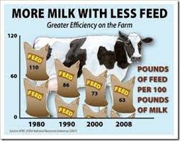 How Much Milk Do Cows Give Dairy Moos
