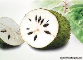 Anda hanya perlukan sebanyak 10 helai daun durian belanda dan 3 cawan air panaskan sehingga mendidih. Buah Dan Daun Durian Belanda Sebagai Penawar Kanser Sentiasa Panas