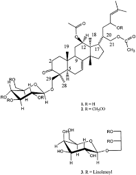 Image result for Trichilia prieuriana