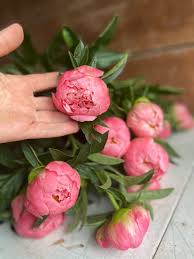 View upcoming funeral services, obituaries, and funeral flowers for stevens memorial chapel in ames, iowa. Elizabella Flower Farm