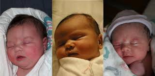 ava, nicholas & grace.