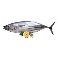 .tuna fish is a good source of omega 3 fatty acid.tuna is good source of protein. Fresho Tuna Fish Steak Slice 500 G Tray Buy Online In Japan At Desertcart Jp Productid 147008153