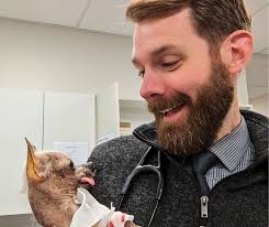 Gulf Coast Veterinary Specialists