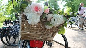 Silahkan hubungi kontak berikut ini Cari Pacar Bule Review Dating Sites Di Jerman German Culture Blog