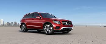 Image result for Hyacinth Red 2016 G