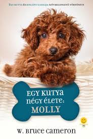 Bailey, a szeretni való négylábú négy kutyaéletet tölthet szeretett gazdijával, ethannel. Egy Kutya Negy Elete Molly