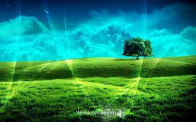 1920x1080 for windows 10, 8, 7, vista, xp version: Windows 7 Wallpapers Hd Win 7 Desktop Background Grass1 Harley Davidso Free Desktop Wallpaper Backgrounds Desktop Wallpapers Backgrounds Free Desktop Wallpaper