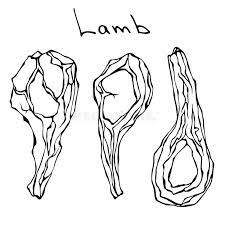 Picture of sheep and lamb coloring page : Lamb Chop Stock Illustrations 3 034 Lamb Chop Stock Illustrations Vectors Clipart Dreamstime