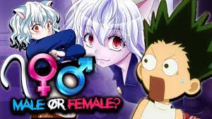 Pitou hxh gender