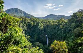 We did not find results for: Wallpaper Nature Waterfall Forest Jungle Landscape Costa Rica Images For Desktop Section Priroda Download