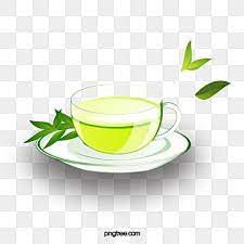 A Cup Of Green Tea Cup Clipart Cup Green Tea Png Transparent Clipart Image And Psd File For Free Download Tea Leaves Illustration Green Tea Green Leaf Tea