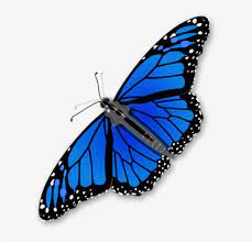 Blue Monarch Butterfly Png Monarch Butterfly Blue Morpho Butterfly Most Beautiful Butterfly