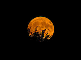 A desktop wallpaper is highly customizable, and you can give yours a personal touch by adding your images (including your photos from a camera) or download beautiful pictures from the internet. Full Moon Wallpaper Hd Photo 47 Wallpaper To Free Stock Photos