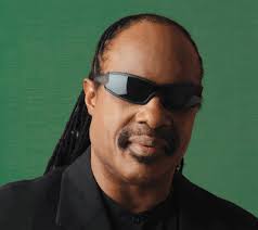 Stevie Wonder brings busker's Superstition cover up a notch