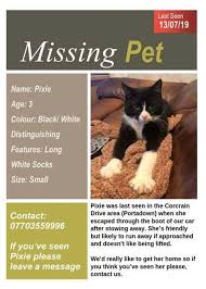 Details of lost & found pets registers uk and ireland. Willow Veterinary Posts Facebook