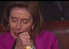 Nancy Pelosi Fortnite