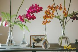 Check spelling or type a new query. Fleurish 122 N Walnut St Champaign Il Florists Mapquest