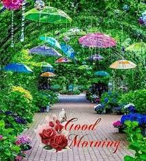 Check spelling or type a new query. Good Morning Happy Thursday Garden Of Beautiful Flowers Facebook
