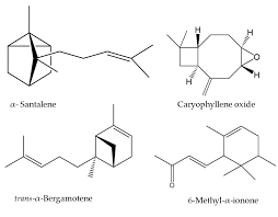 Image result for Trichilia prieuriana