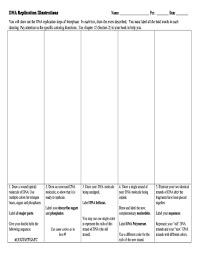 By darya daryaon october 08, 2020in free printable worksheets195 views. 35 Dna Replication Worksheet Answers Pdf Worksheet Resource Plans