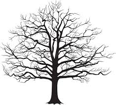 Black Silhouette Bare Tree Vector Illustration Black Silhouette Of A Bare Tre Aff Bare Silhouette Bla Tree Photoshop Tree Drawing Tree Illustration