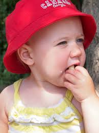 A Visit to Terry and Teri's Place