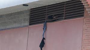 A clothes vendor of lot 316 independence boulevard, georgetown, was on wednesday hauled in court on wednesday, the police prosecutor objected to bail. Jason Burdon Escapes Adelaide Remand Centre By Using Rope Made Out Of Clothes Tied Together