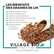 Les Bienfaits Des Graines De Lin Bienfaits Des Graines De Lin Aliments Bons Pour La Sante Alimentation Et Sante