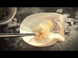 Quay Restaurant Peter Gilmore S Smoked Eel Pearl Sydney Restaurants Best Chef No Egg Desserts