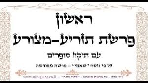 עניין של יצירת חיים חדשים. ×§×¨×™××ª ×¨××©×•×Ÿ ×¤×¨×©×ª ×ª×–×¨×™×¢ ×ž×¦×•×¨×¢ Youtube