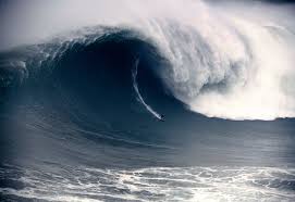 Pour ne rien perdre de cette performance, un. Kai Lenny Portrait