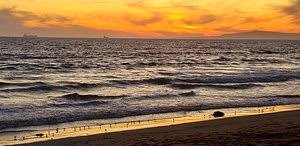 The beach trail runs south to newport beach and north to long beach. Bolsa Chica State Beach Huntington Beach 2021 All You Need To Know Before You Go Tours Tickets With Photos Tripadvisor