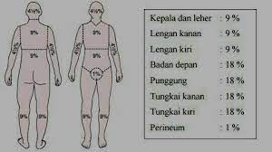 Perhatikan letak luka bakar pada tangan. Contoh Soal Uji Kompetensi Keperawatan Sub Luka Bakar Part 137 Ukom Perawat Ners