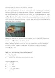 Ahli cara cara menghitung tetesan infus dan contoh kasus. Pdf Cara Cepat Menghitung Tetesan Infus Terbaru Samuel Wakakak Academia Edu