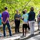 Mindfulness Walk in the Old Forest event image