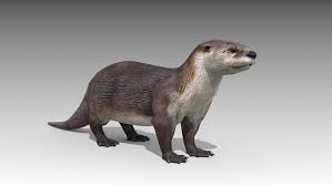 Otter Sponsored Sponsored Otter Characters Animals Otters Character Animals