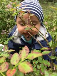 Fastnade för veckans vinnarbild