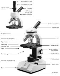 Pin On Parts Of The Microscope
