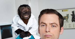 Polone: Why Animal Practice Is Animal Cruelty