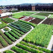 Hugelkultur Permaculture Culture Biologique Butte Autofertile Permaculture Butte Outdoor