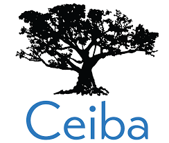 Image result for Ceiba
