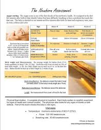 Apgar Scoring Newborn Assessment Nursing School Notes Newborn Nursing